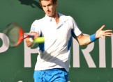 Andy Murray