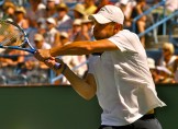 Andy Roddick-3