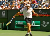 Andy Roddick-4