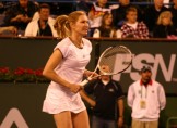 Graf Steffi Graf