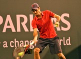 Federer Federer