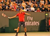 Federer Federer