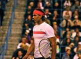 Rafa Rafa