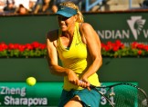 Maria Sharapova
