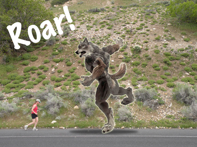 Every year thousands of joggers are attacked by supernatural wildlife. Runners get attacked.